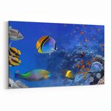 Olla 12151Y Akvaryum Balık Görseli Yatay 30x20 cm Kanvas Tablo