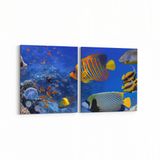 Olla 12152K2Y Akvaryum Balık Görseli Kare 2 Parça Yatay 65x30 cm Kanvas Tablo