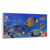 Olla 12152YD Akvaryum Balık Görseli Yatay Dar 60x30 cm Kanvas Tablo