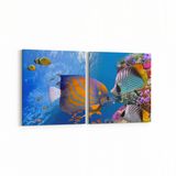 Olla 12153K2Y Akvaryum Balık Görseli Kare 2 Parça Yatay 65x30 cm Kanvas Tablo