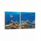 Olla 12159K2Y Akvaryum Balık Görseli Kare 2 Parça Yatay 65x30 cm Kanvas Tablo