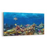 Olla 12159YD Akvaryum Balık Görseli Yatay Dar 60x30 cm Kanvas Tablo