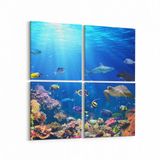 Olla 12169K4 Akvaryum Balık Görseli Kare 4 Parça 65x65 cm Kanvas Tablo