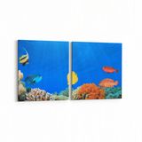 Olla 12202K2Y Akvaryum Balık Görseli Kare 2 Parça Yatay 65x30 cm Kanvas Tablo