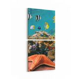 Olla 12203K2D Akvaryum Balık Görseli Kare 2 Parça Dikey 30x65 cm Kanvas Tablo