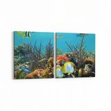 Olla 12204K2Y Akvaryum Balık Görseli Kare 2 Parça Yatay 65x30 cm Kanvas Tablo