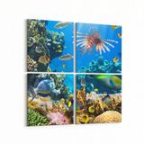 Olla 12206K4 Akvaryum Balık Görseli Kare 4 Parça 65x65 cm Kanvas Tablo