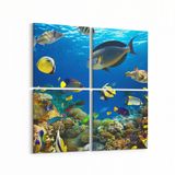 Olla 12207K4 Akvaryum Balık Görseli Kare 4 Parça 65x65 cm Kanvas Tablo