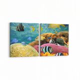Olla 12208K2Y Akvaryum Balık Görseli Kare 2 Parça Yatay 65x30 cm Kanvas Tablo
