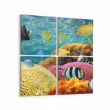 Olla 12208K4 Akvaryum Balık Görseli Kare 4 Parça 65x65 cm Kanvas Tablo