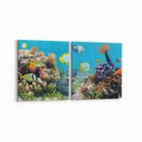 Olla 12209K2Y Akvaryum Balık Görseli Kare 2 Parça Yatay 65x30 cm Kanvas Tablo
