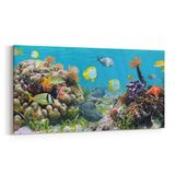 Olla 12209YD Akvaryum Balık Görseli Yatay Dar 60x30 cm Kanvas Tablo