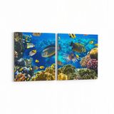 Olla 12210K2Y Akvaryum Balık Görseli Kare 2 Parça Yatay 65x30 cm Kanvas Tablo