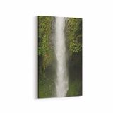 Olla 13160DD Doğa Manzara Görseli Dikey Dar 30x60 cm Kanvas Tablo