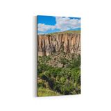 Olla 13162DD Doğa Manzara Görseli Dikey Dar 30x60 cm Kanvas Tablo