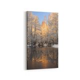 Olla 13178DD Doğa Manzara Görseli Dikey Dar 30x60 cm Kanvas Tablo