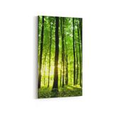 Olla 13250DD Doğa Manzara Görseli Dikey Dar 30x60 cm Kanvas Tablo