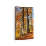 Olla 13255DD Doğa Manzara Görseli Dikey Dar 30x60 cm Kanvas Tablo