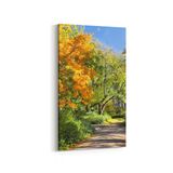 Olla 13272DD Doğa Manzara Görseli Dikey Dar 30x60 cm Kanvas Tablo