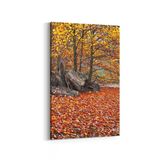 Olla 13279D Doğa Manzara Görseli Dikey 20x30 cm Kanvas Tablo