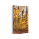 Olla 13280DD Doğa Manzara Görseli Dikey Dar 30x60 cm Kanvas Tablo
