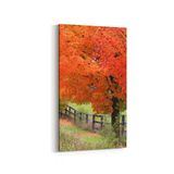 Olla 13292DD Doğa Manzara Görseli Dikey Dar 30x60 cm Kanvas Tablo