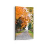 Olla 13293DD Doğa Manzara Görseli Dikey Dar 30x60 cm Kanvas Tablo