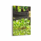 Olla 13340D Doğa Manzara Görseli Dikey 20x30 cm Kanvas Tablo