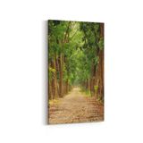 Olla 13350DD Doğa Manzara Görseli Dikey Dar 30x60 cm Kanvas Tablo
