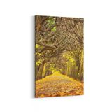 Olla 13366D Doğa Manzara Görseli Dikey 20x30 cm Kanvas Tablo