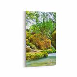 Olla 13377DD Doğa Manzara Görseli Dikey Dar 30x60 cm Kanvas Tablo