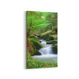 Olla 13416DD Doğa Manzara Görseli Dikey Dar 30x60 cm Kanvas Tablo