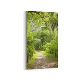 Olla 13428DD Doğa Manzara Görseli Dikey Dar 30x60 cm Kanvas Tablo