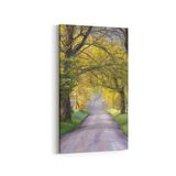 Olla 13437DD Doğa Manzara Görseli Dikey Dar 30x60 cm Kanvas Tablo