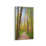 Olla 13445DD Doğa Manzara Görseli Dikey Dar 30x60 cm Kanvas Tablo