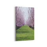 Olla 13453DD Doğa Manzara Görseli Dikey Dar 30x60 cm Kanvas Tablo