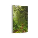 Olla 13455DD Doğa Manzara Görseli Dikey Dar 30x60 cm Kanvas Tablo