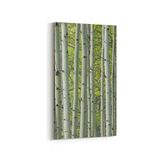 Olla 13468DD Doğa Manzara Görseli Dikey Dar 30x60 cm Kanvas Tablo
