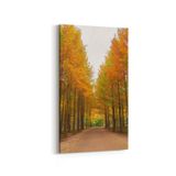 Olla 13487DD Doğa Manzara Görseli Dikey Dar 30x60 cm Kanvas Tablo