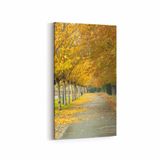 Olla 13525DD Doğa Manzara Görseli Dikey Dar 30x60 cm Kanvas Tablo
