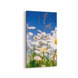 Olla 13544DD Doğa Manzara Görseli Dikey Dar 30x60 cm Kanvas Tablo
