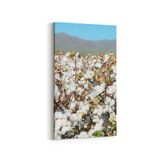 Olla 13562DD Doğa Manzara Görseli Dikey Dar 30x60 cm Kanvas Tablo