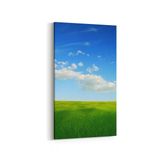Olla 13568DD Doğa Manzara Görseli Dikey Dar 30x60 cm Kanvas Tablo