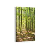 Olla 13593DD Doğa Manzara Görseli Dikey Dar 30x60 cm Kanvas Tablo