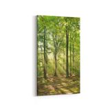 Olla 13599DD Doğa Manzara Görseli Dikey Dar 30x60 cm Kanvas Tablo