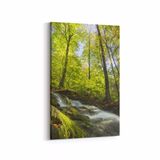 Olla 13605D Doğa Manzara Görseli Dikey 20x30 cm Kanvas Tablo