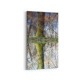 Olla 13617DD Doğa Manzara Görseli Dikey Dar 30x60 cm Kanvas Tablo