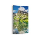Olla 13685DD Doğa Manzara Görseli Dikey Dar 30x60 cm Kanvas Tablo