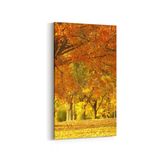 Olla 13714DD Doğa Manzara Görseli Dikey Dar 30x60 cm Kanvas Tablo
