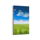 Olla 13798DD Doğa Manzara Görseli Dikey Dar 30x60 cm Kanvas Tablo